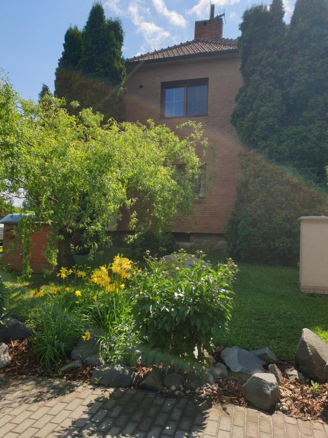 Apartment Pod Kosirem Lutin